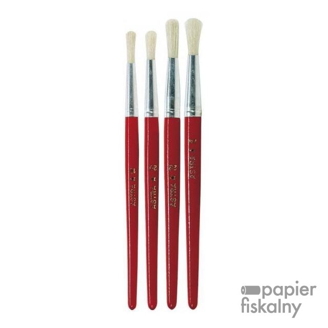 Pędzel szkolny okrągły Astra nr 24, 53633913