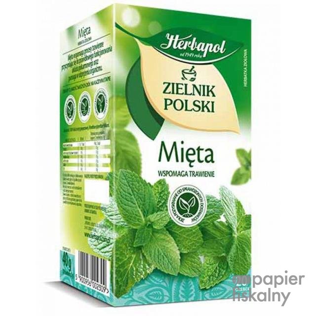 Herbata HERBAPOL Zielnik Polski, 20 torebek, mięta