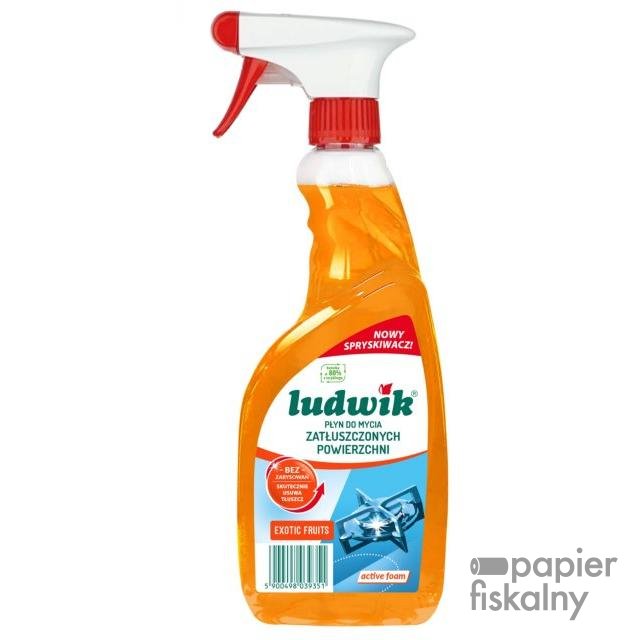 Płyn do zatłuszczonych powierzchni Active Foam w sprayu LUDWIK, 600ml, exotic fruits